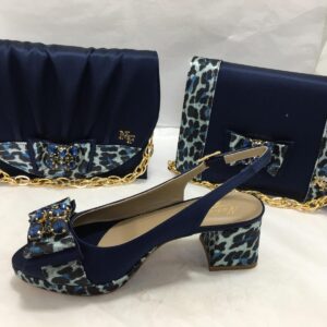 Nadia Ferri Shoe & Bag Set