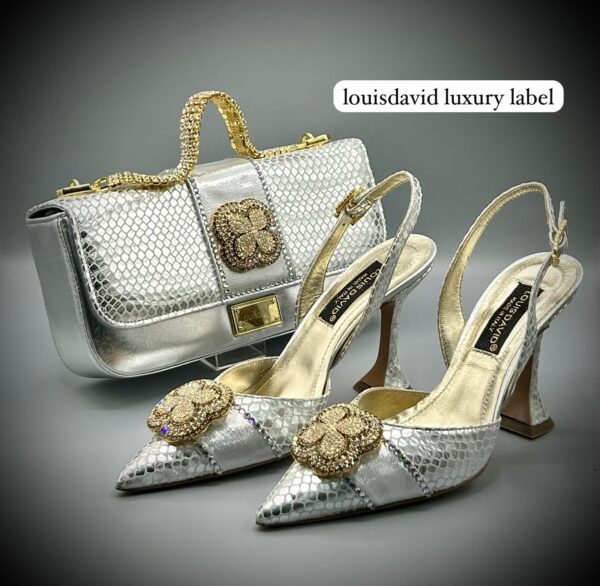 Louis David Luxury Bag and Shoe Set