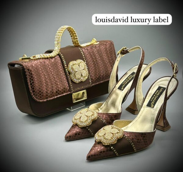 Louis David Luxury Bag and Shoe Set