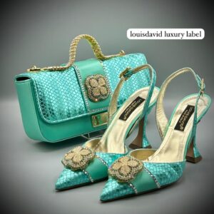 Louis David Luxury Bag and Shoe Set