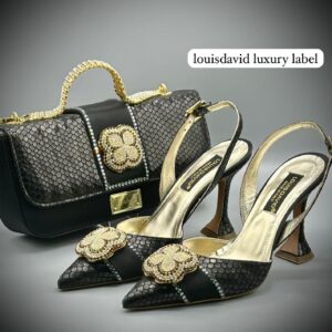 Louis David Luxury Bag and Shoe Set