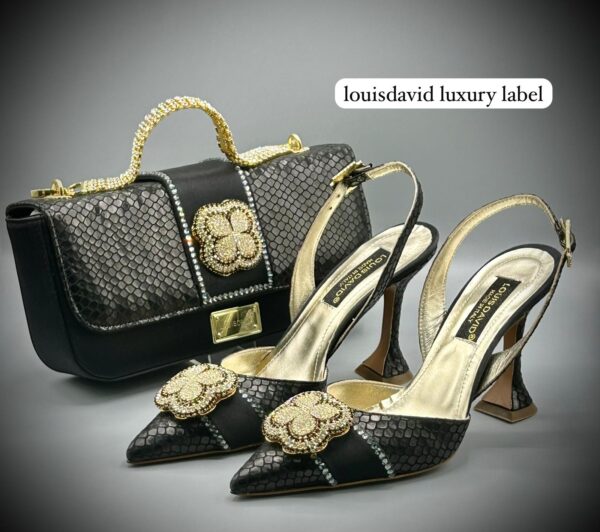 Louis David Luxury Bag and Shoe Set