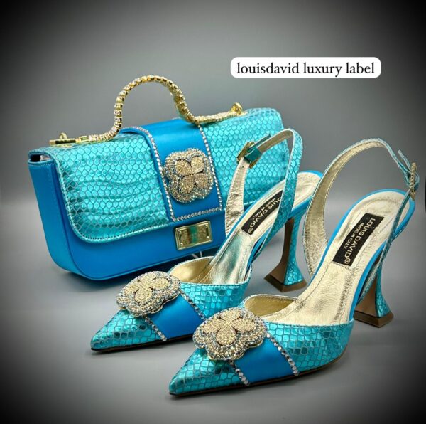 Louis David Luxury Bag and Shoe Set