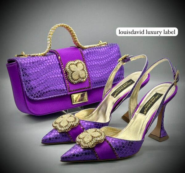 Louis David Luxury Bag and Shoe Set