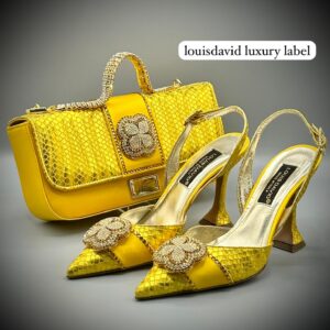 Louis David Luxury Bag and Shoe Set